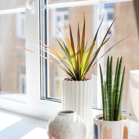 #stayhere - Modern & 2 Bedroom