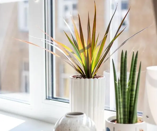 #stayhere - Modern & 2 Bedroom